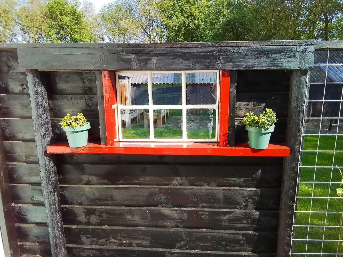Vakantiewoning 'T Bakhuus Bergentheim エクステリア 写真