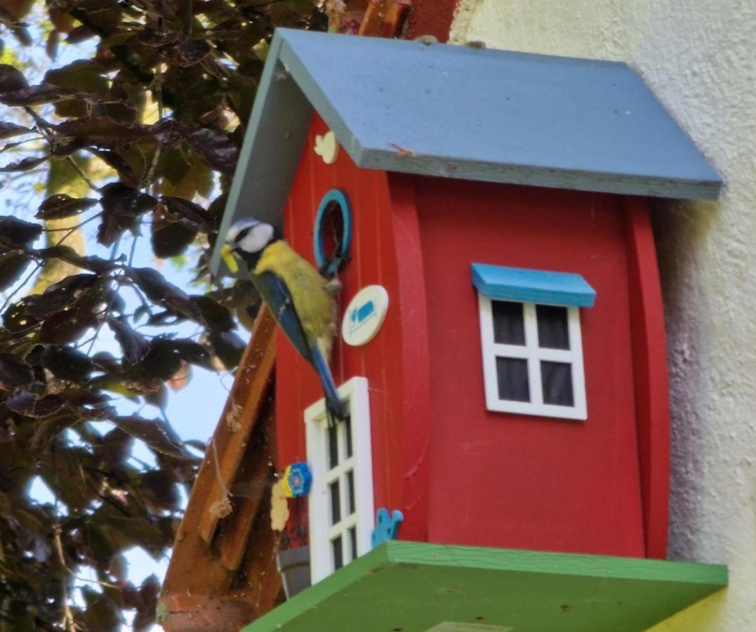 Vakantiewoning 'T Bakhuus Bergentheim エクステリア 写真