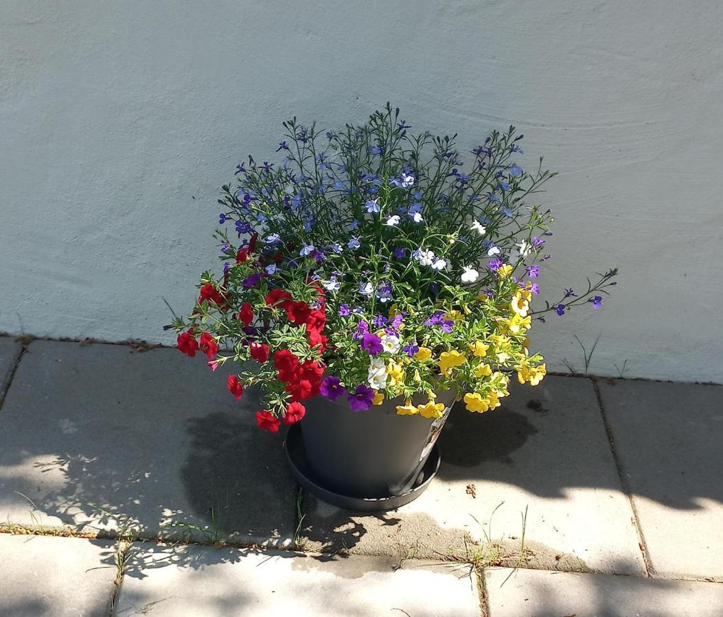 Vakantiewoning 'T Bakhuus Bergentheim エクステリア 写真