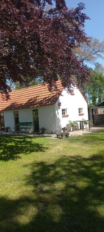 Vakantiewoning 'T Bakhuus Bergentheim エクステリア 写真