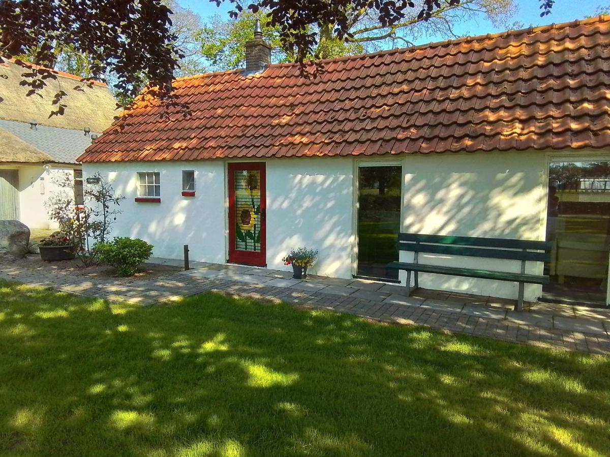 Vakantiewoning 'T Bakhuus Bergentheim エクステリア 写真