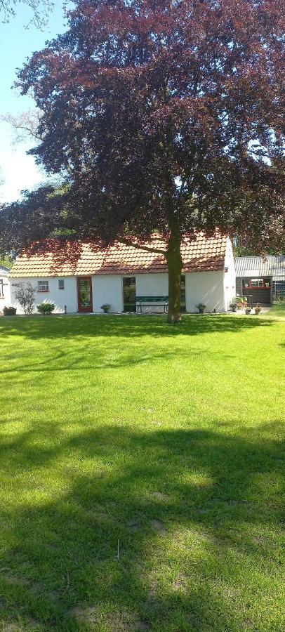Vakantiewoning 'T Bakhuus Bergentheim エクステリア 写真